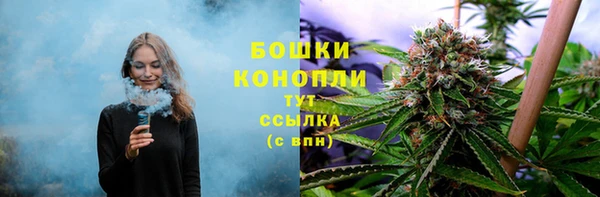 шишки Арсеньев