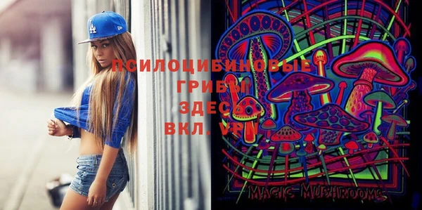 гашик Осташков