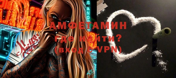 шишки Арсеньев