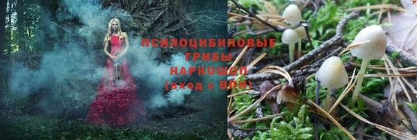 шишки Арсеньев