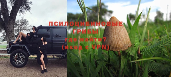 шишки Арсеньев