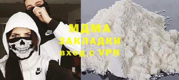 шишки Арсеньев