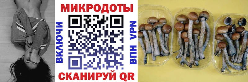 Псилоцибиновые грибы прущие грибы  Мезень 