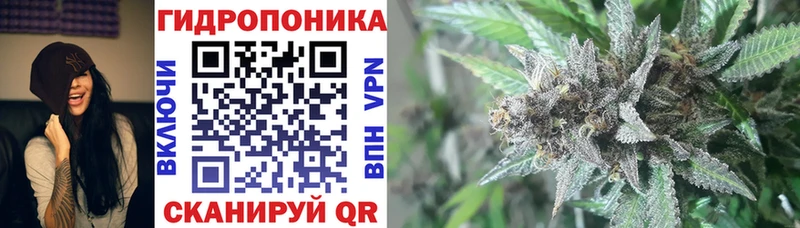 Шишки марихуана конопля  Мезень 